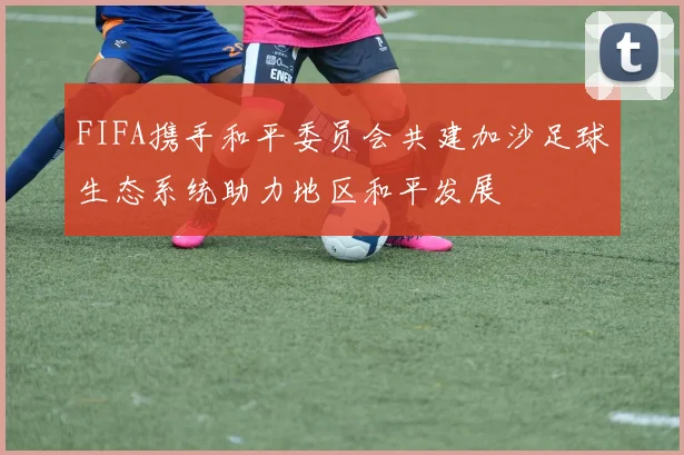 FIFA携手和平委员会共建加沙足球生态系统助力地区和平发展